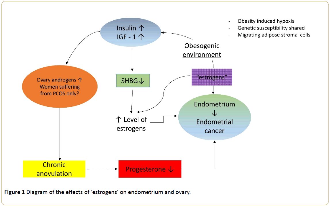 Endometrial cancer lynch syndrome, Endometrial cancer genetics